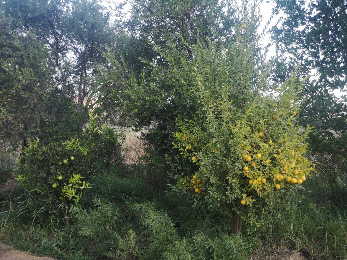 Salamanca Cabana Jacaranda מראה חיצוני תמונה